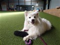20240603_160518.JPG