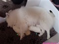 20260611_142836387.JPG