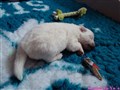 20260612_115015814.JPG