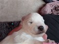 20260617_121734430.JPG