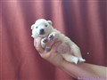 20260619_095559678.JPG