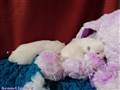 20260621_165641995.JPG