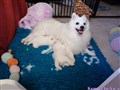 20260621_180335588.JPG