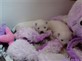 20260622_122815834.JPG