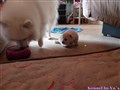 20260624_094354262.JPG