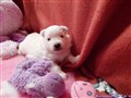 20260625_060659248.JPG