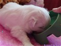 20260626_123551379_exported_52869.jpg