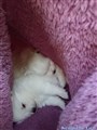20260629_091947241.JPG
