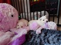 20260630_072707649.JPG