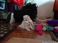 20260702_082808641.JPG