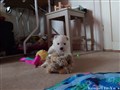 20260702_120227468.JPG