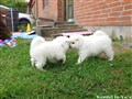 20260706_081947146.JPG