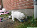 20260707_100120053.JPG