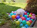 20260708_141521989.JPG