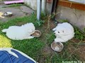 20260710_172422038.JPG
