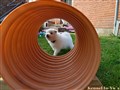 20260712_072838415.JPG