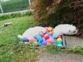 20260713_072709079.JPG