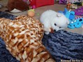 20260713_141050689.JPG