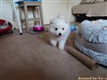 20260714_054206938.JPG