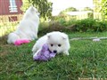 20260716_135942006.JPG