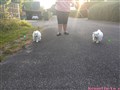 20260716_205521190.JPG