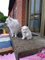 20260719_070625107.JPG