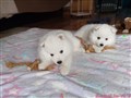 20260720_070844039.JPG