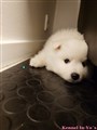 20260720_093352962.JPG