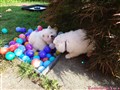 20260721_083909184.JPG