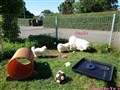 20260721_163437997.JPG
