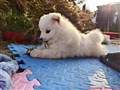 20260723_071734450.JPG