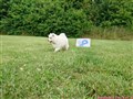 20260724_101447965.JPG