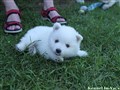 IMG_91730.JPG