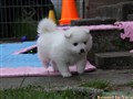 IMG_9248.JPG