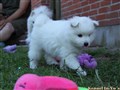 IMG_93690.JPG