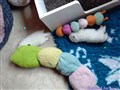 Messenger_creation_E6FF4077-A85A-47DB-953C-264B49AC739E.jpeg