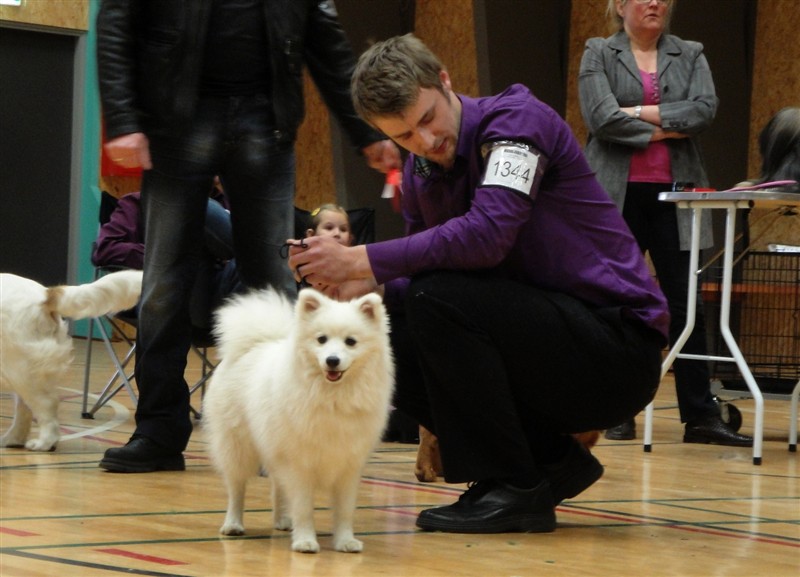 Lila03-04-11b.JPG
