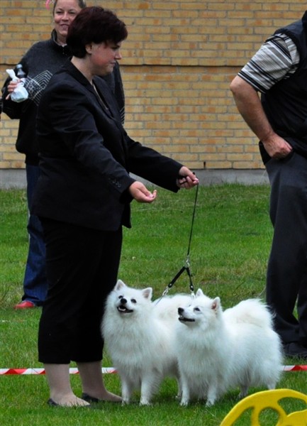Parklasse13.8.11.JPG